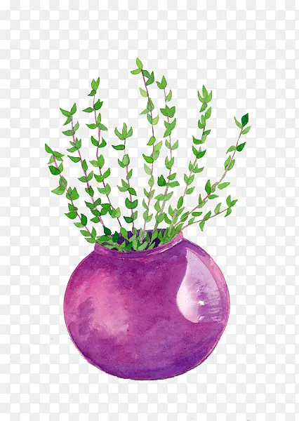 手绘紫色圆形花瓶