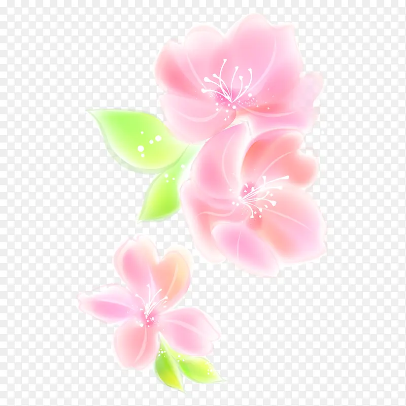 美丽的粉色花朵手绘图