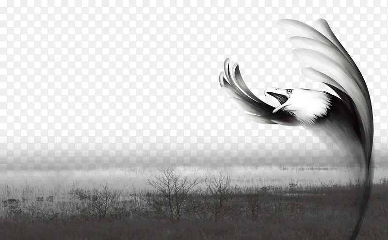 大雁