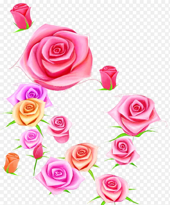 手绘粉红色玫瑰花束