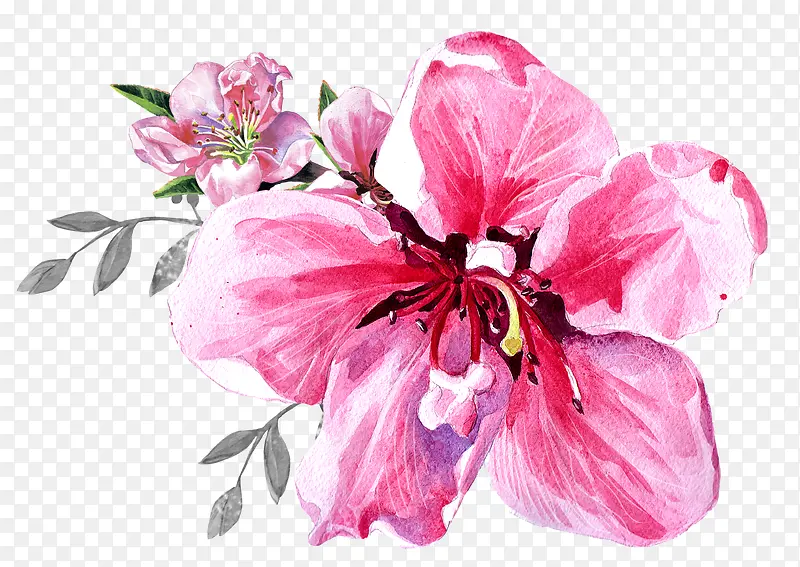 手绘粉红花朵