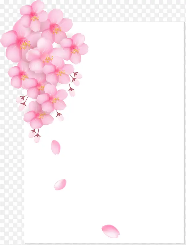 樱花花束