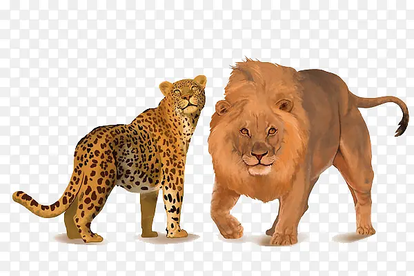豹子与狮子