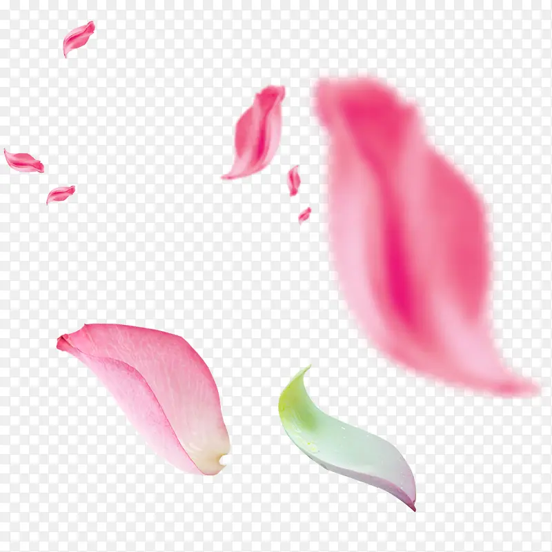 花瓣粉红花瓣模糊运动特效漂浮