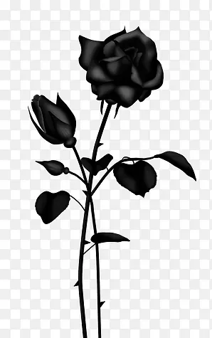 黑色花朵