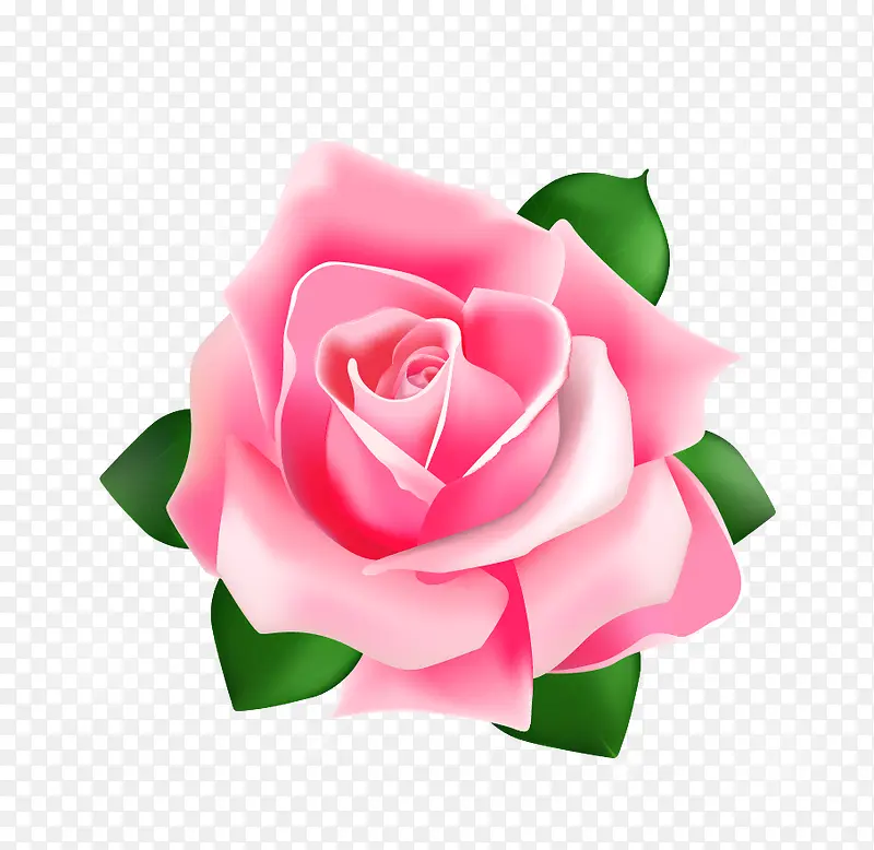 玫瑰花矢量