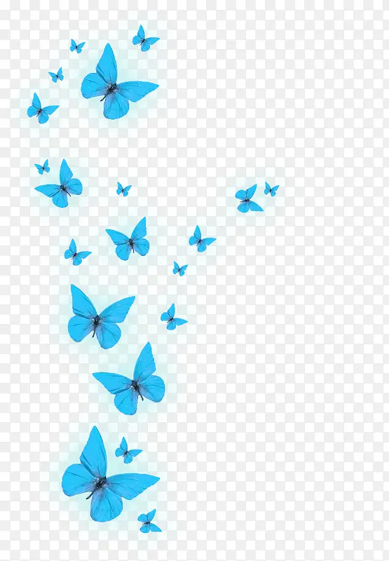 发光的蓝色蝴蝶