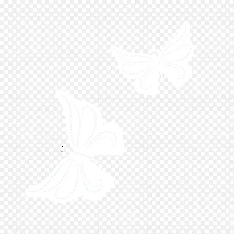白色飞舞的花蝴蝶