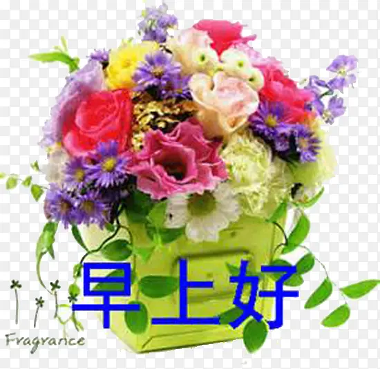 绿色风情