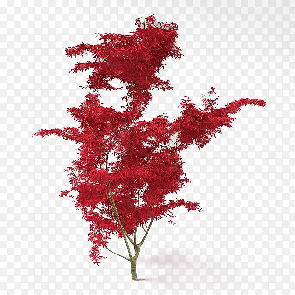 红色的游戏树