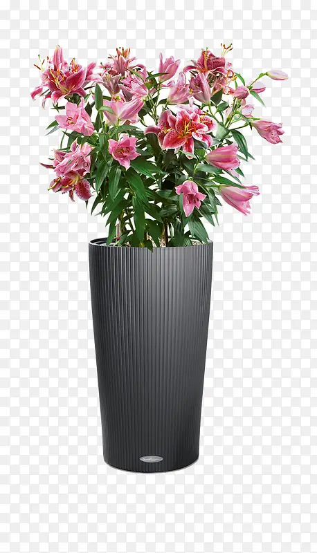 花瓶