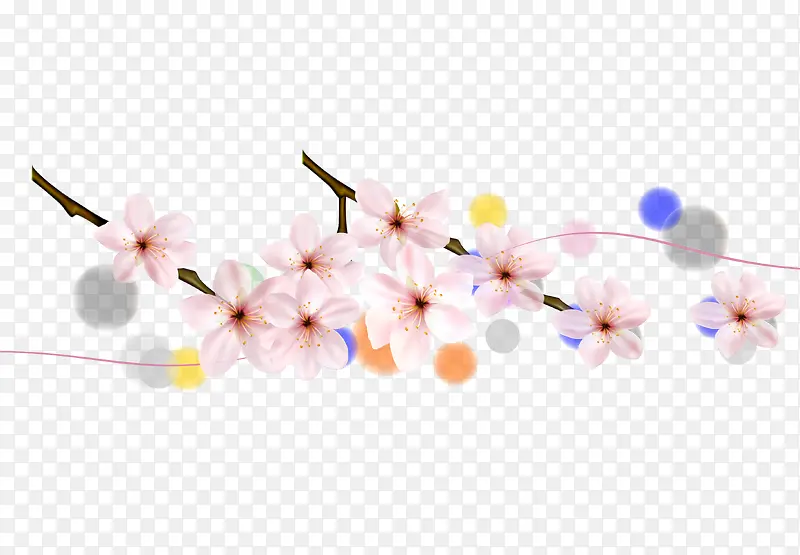 樱花枝叶和樱花瓣