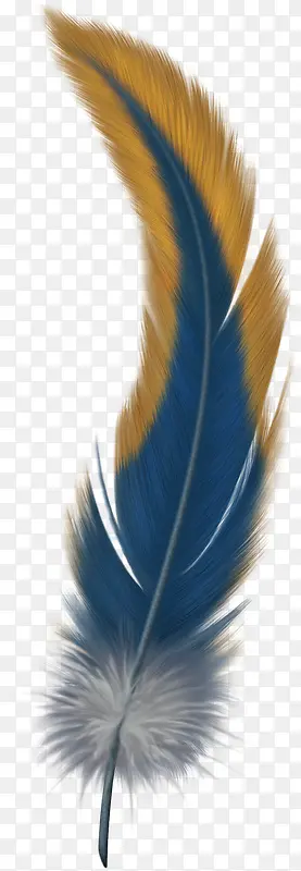 鸟羽毛羽毛飘落素材 蓝色羽毛