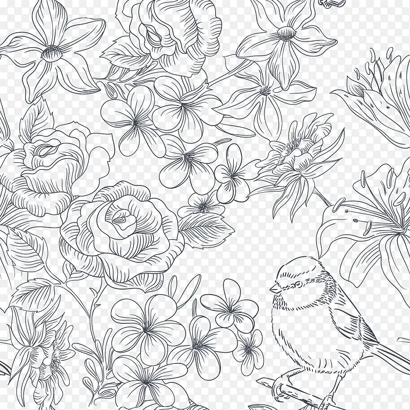 矢量白描植物花卉