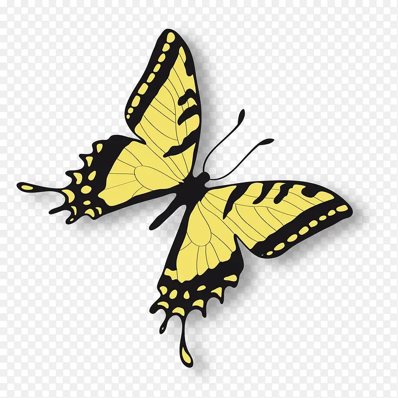 黄色的蝴蝶昆虫设计