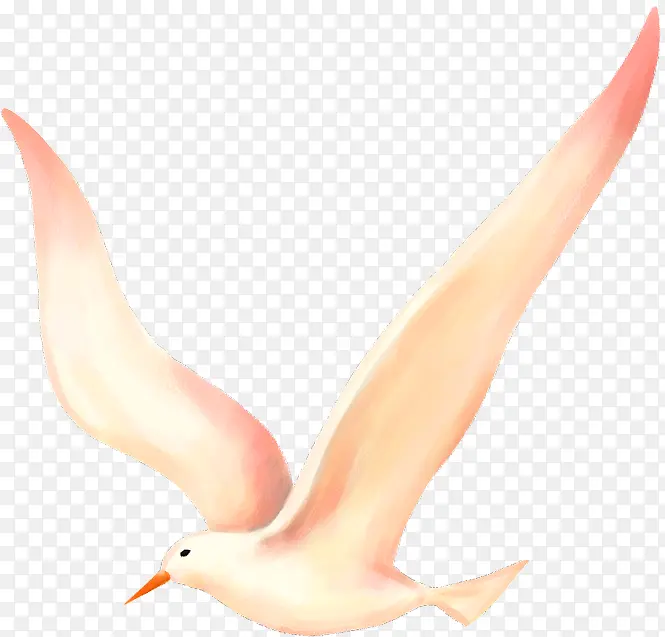 高清创意手绘风格飞翔的海鸥翅膀