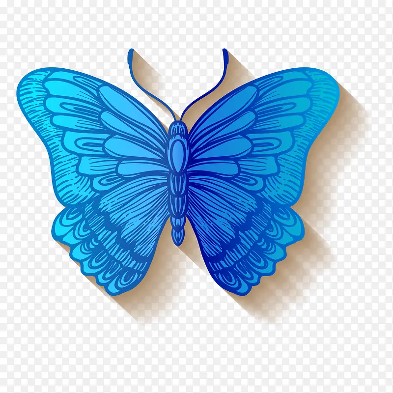 蓝色的蝴蝶昆虫设计