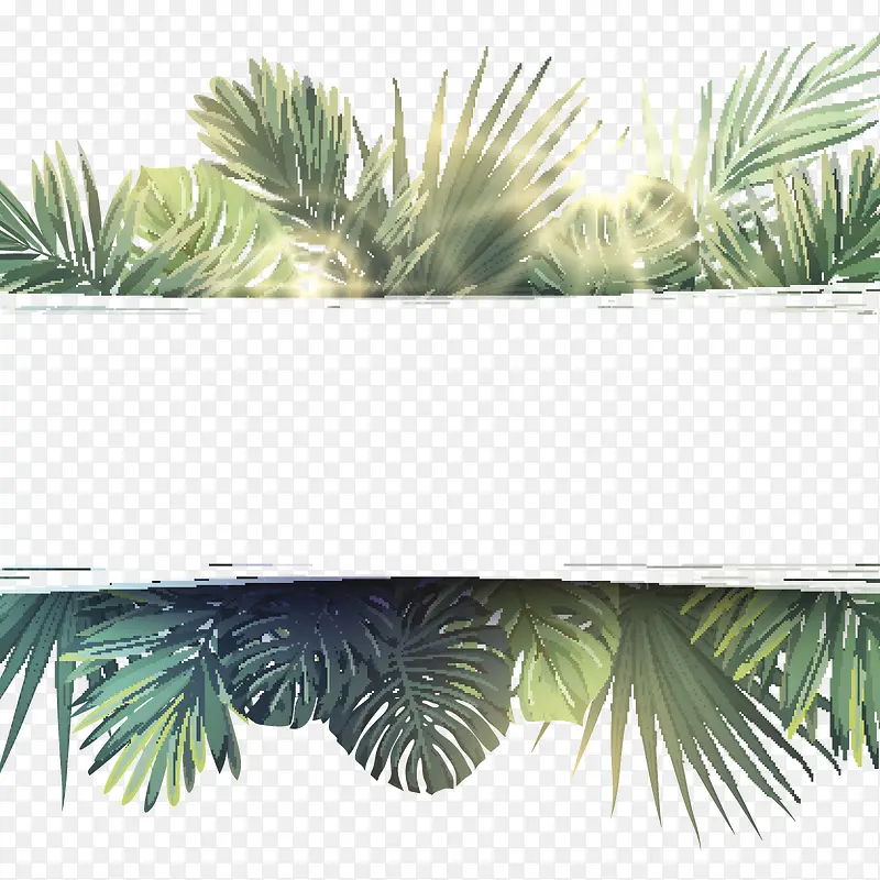 绿色清新热带树叶装饰背景