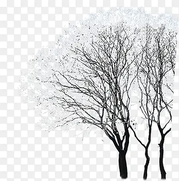 手绘树木韩国冬季背景
