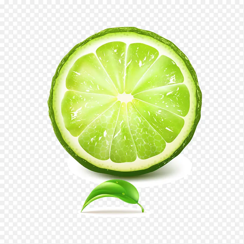夏季青柠水果矢量图