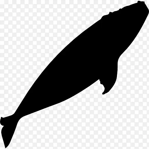 露脊鲸的剪影图标