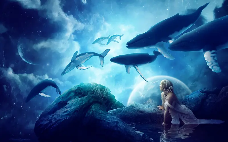 鲸鱼梦幻海底世界