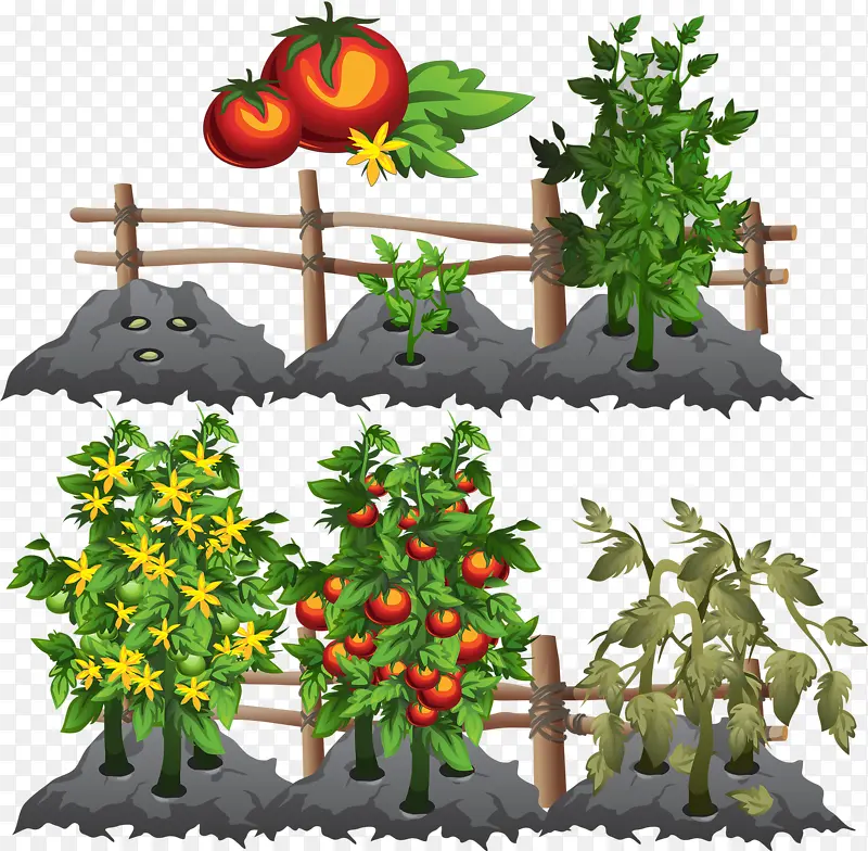 蔬菜种植PNG图片素材下载_图片编号8678573-PNG素材网