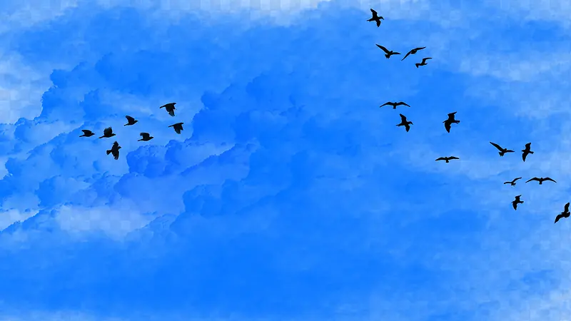 蓝天下飞翔的鸟群景观