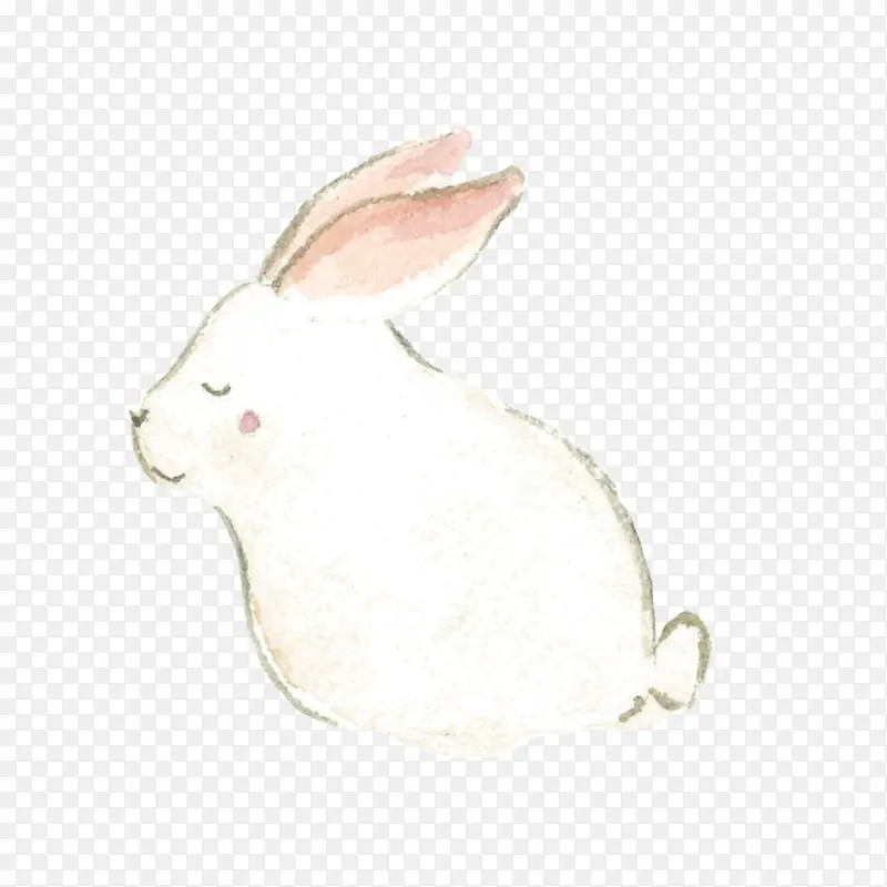 素描小白兔