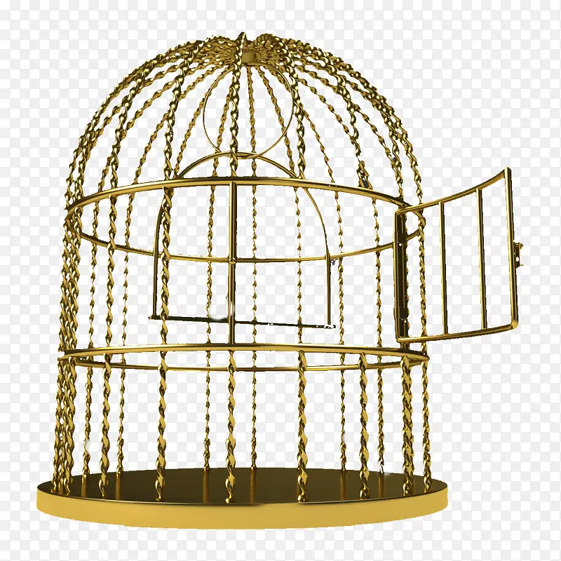 金色花纹铁笼子