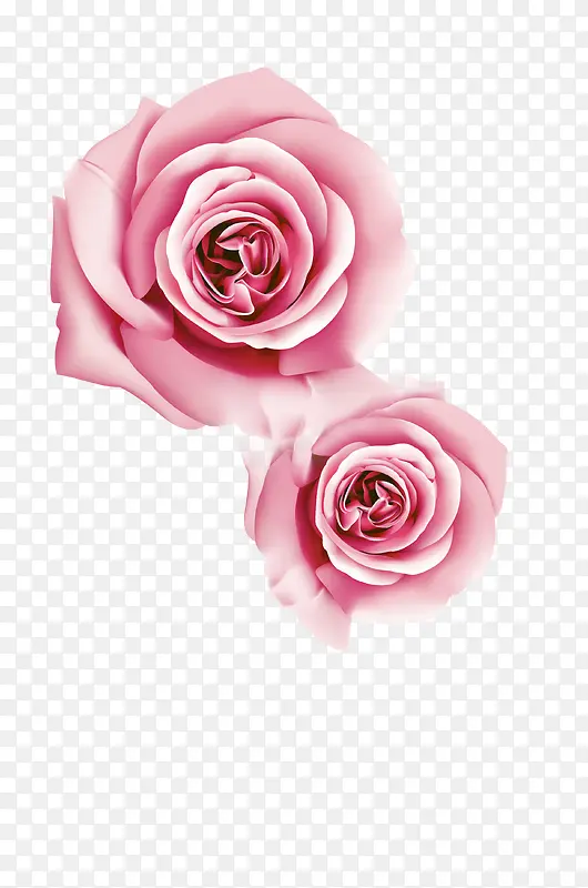 手绘唯美粉红色玫瑰花素材背景