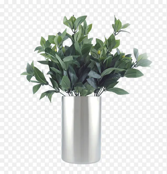 植物花瓶