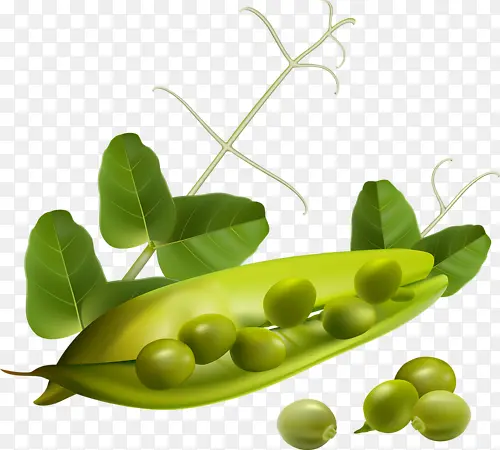 卡通豌豆