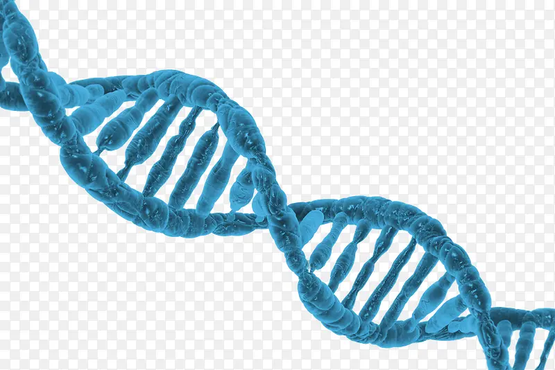 超高清蓝色的DNA