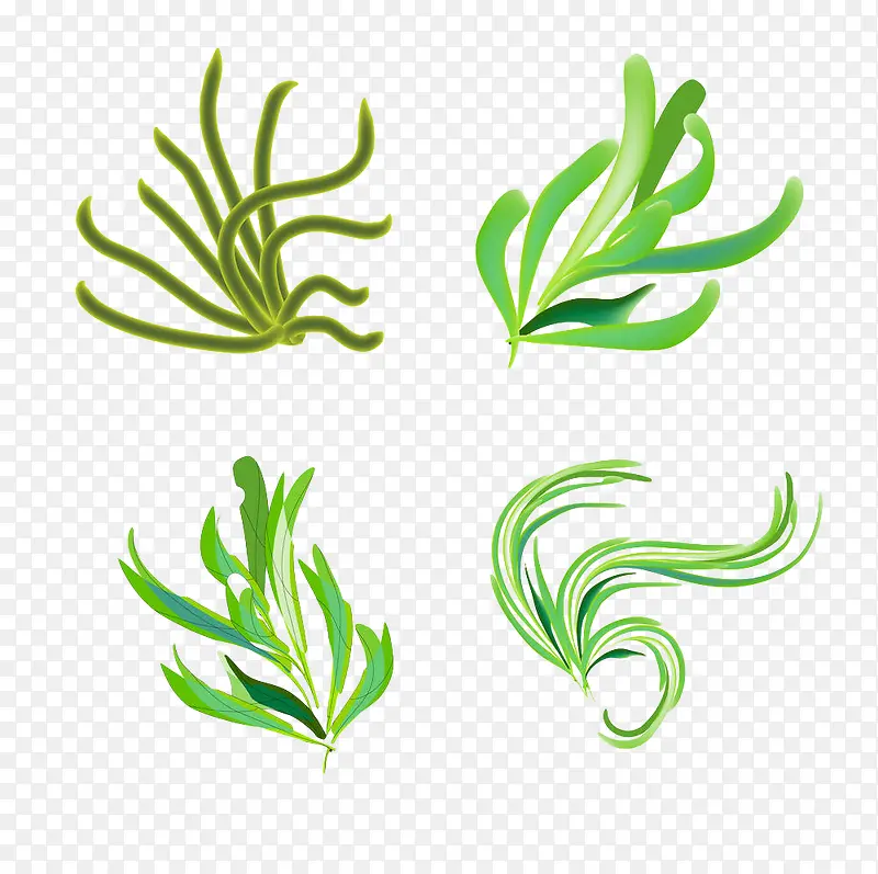 绿色手绘海洋藻类植物