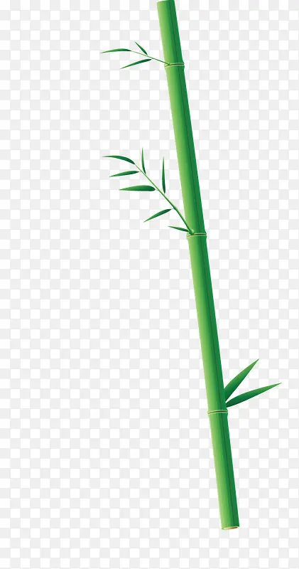 一根竹子