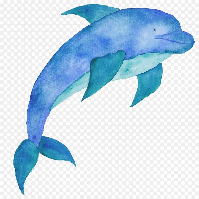 手绘蓝色鲸鱼