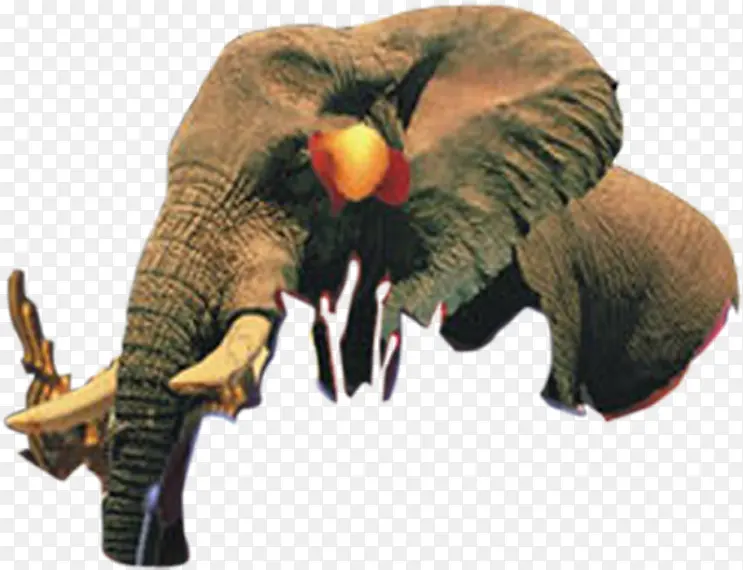 大象素材地产雄性
