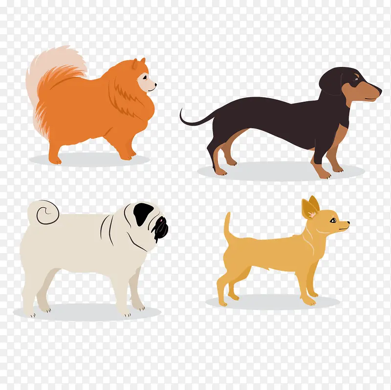 四种类型的小狗侧面