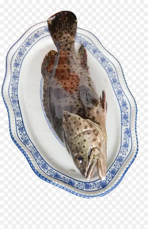 盘里的冰冻斑鱼