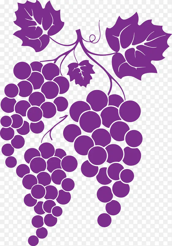 紫色时尚黑加仑葡萄剪影矢量图