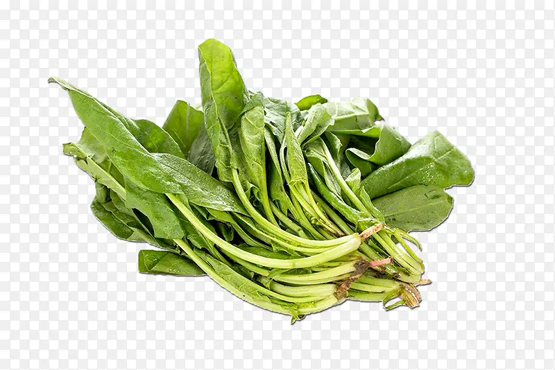 绿色psd绿色食品