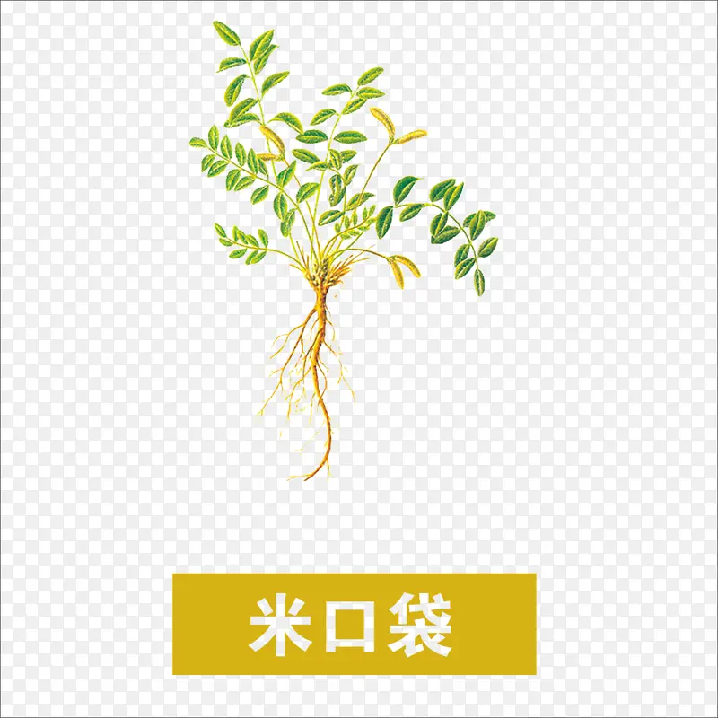 草药