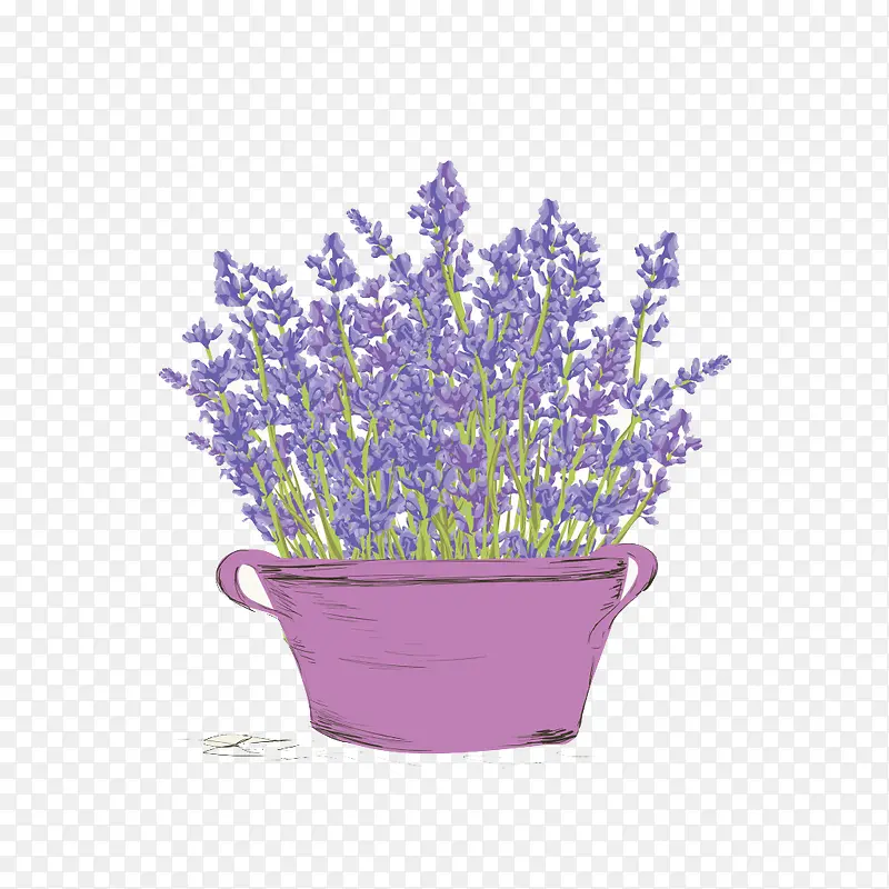 紫色花盆薰衣草素材PNG图片素材下载_图片编号8712688-PNG素材网