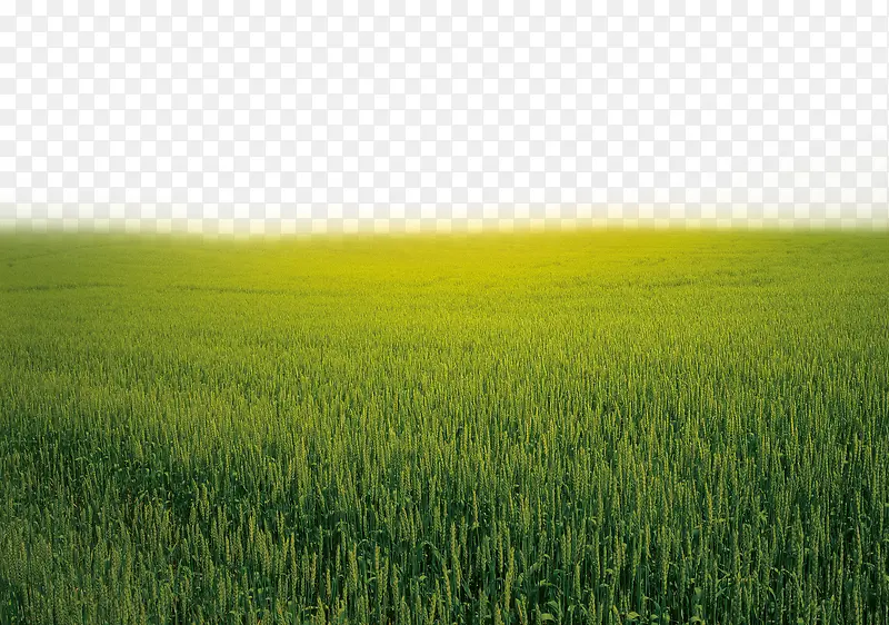 绿色大草原草地矢量图