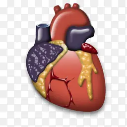 cardiology图标