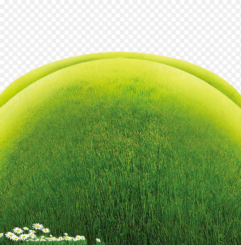 绿色简约草地圆圈边框纹理