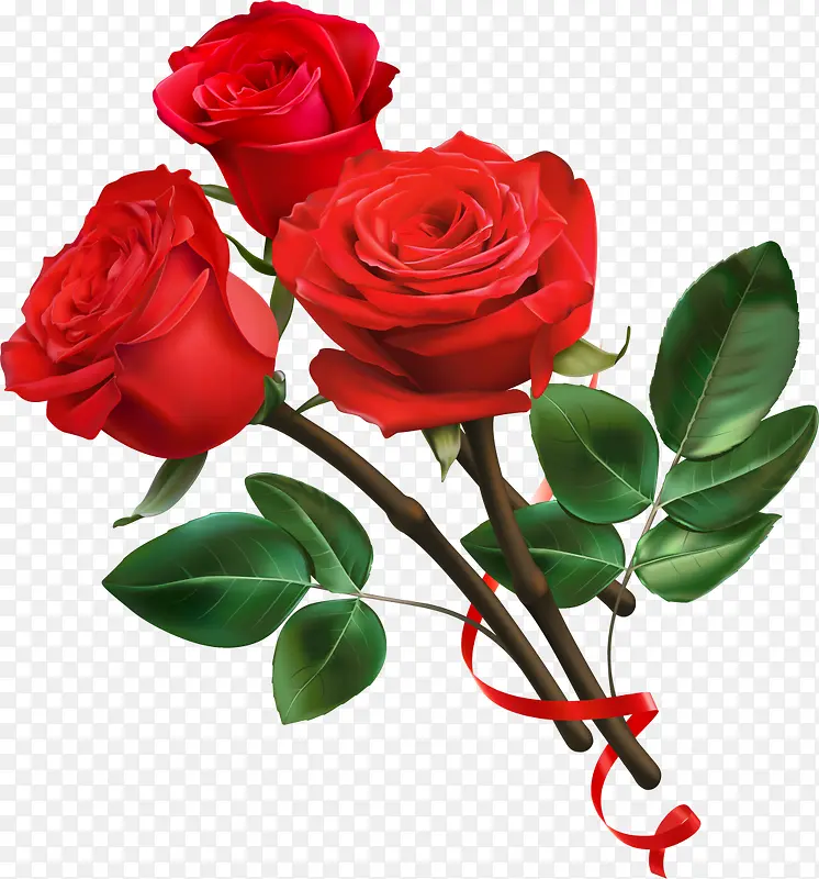 红色美丽玫瑰花枝