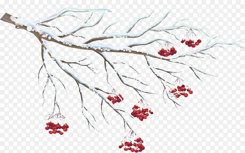雪花 树枝 小红果png素材