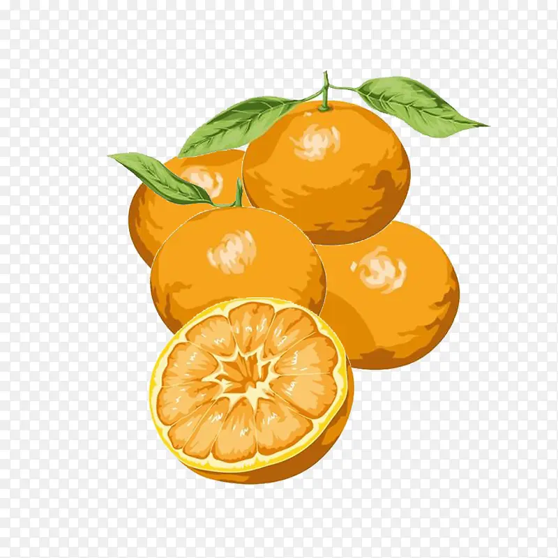 一堆柑橘手绘色彩稿